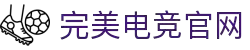 完美电竞•(中国)电子竞技-Perfect Esports
